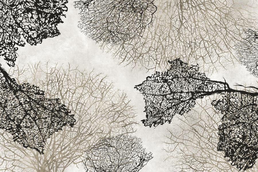 Wizualizacja produktu